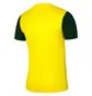 Футболка чоловіча Nike M Nk Df Tiempo Prem Ii Jsy Ss Yellow Dh8035-719