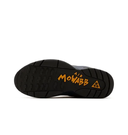 Кроссовки мужские Nike Acg Air Mowabb Violet DC9554-500