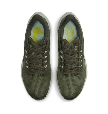 Кроссовки мужские Nike Air Zoom Pegasus 39 Olive Dh4071-300