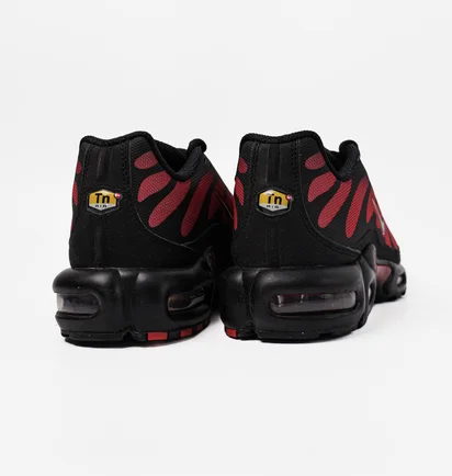 Кросівки чоловічі Nike Air Max Plus Black DZ4507-600