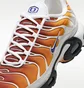Кроссовки мужские Nike One Block Down X Air Max Plus Reverse MenS Shoes Grey FZ3308-700