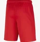 Шорти дитячі Nike Park Iii Red Bv6865-657