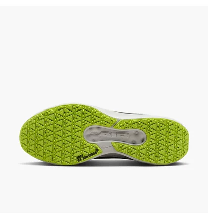 Кроссовки мужские Nike Winflo 11 Gore-Tex Grey FQ1358-005