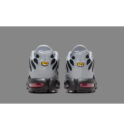 Кросівки чоловічі Nike Air Max Plus Wolf Grey DM0032-011