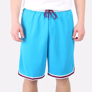 Шорты мужские Nike Dri-Fit Light Blue DH7160-446