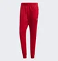Штаны мужские Adidas Adicolor Classics Track Pants Red Ib1412