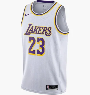 Майка чоловіча Nike Nba Los Angeles Lakers Lebron James Association Edition Swingman White CW3595-101