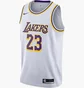 Майка чоловіча Nike Nba Los Angeles Lakers Lebron James Association Edition Swingman White CW3595-101