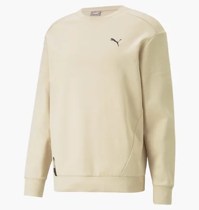 Світшот чоловічий Puma Rad/Cal Beige 673317-88