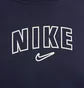 Свитшот женский Nike Sportswear Phoenix Fleece Violet FN5155-451