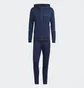 Спортивный костюм мужской Adidas 3-Stripes Tracksuit Blue Ic6769