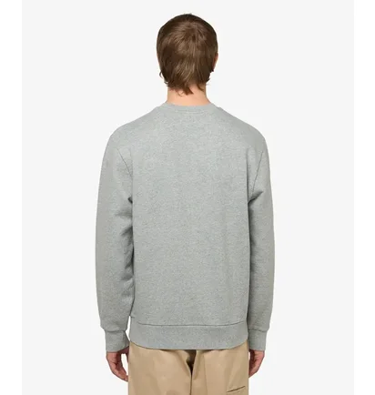 Світшот чоловічий Carhartt WIP Script Embroidery Grey I034496.00DXX