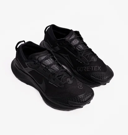 Кроссовки мужские Nike Pegasus Trail 3 Gtx Black DC8793-001