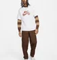 Штаны мужские Nike Sb Brown FB8428-259