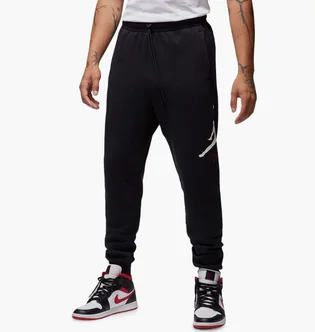 Штаны мужские Air Jordan M J Ess Flc Baseline Pant Black FD7345-010