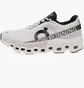 Кросівки чоловічі On M Cloudmonster 2 White 3ME10120664