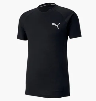 Футболка чоловіча Puma Evostripe Black 581465-01