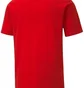 Футболка чоловіча Puma Teamgoal 23 Casuals Tee Red 656578-01