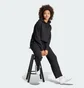 Штаны женские Adidas All Szn French Terry 3-Stripes Black JI9106