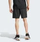 Шорты мужские Adidas New Z.N.E. Shorts Black JE7540