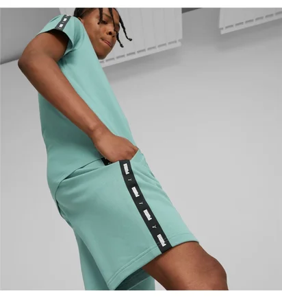 Шорты мужские Puma Essentials+ Tape Turquoise 847387-85