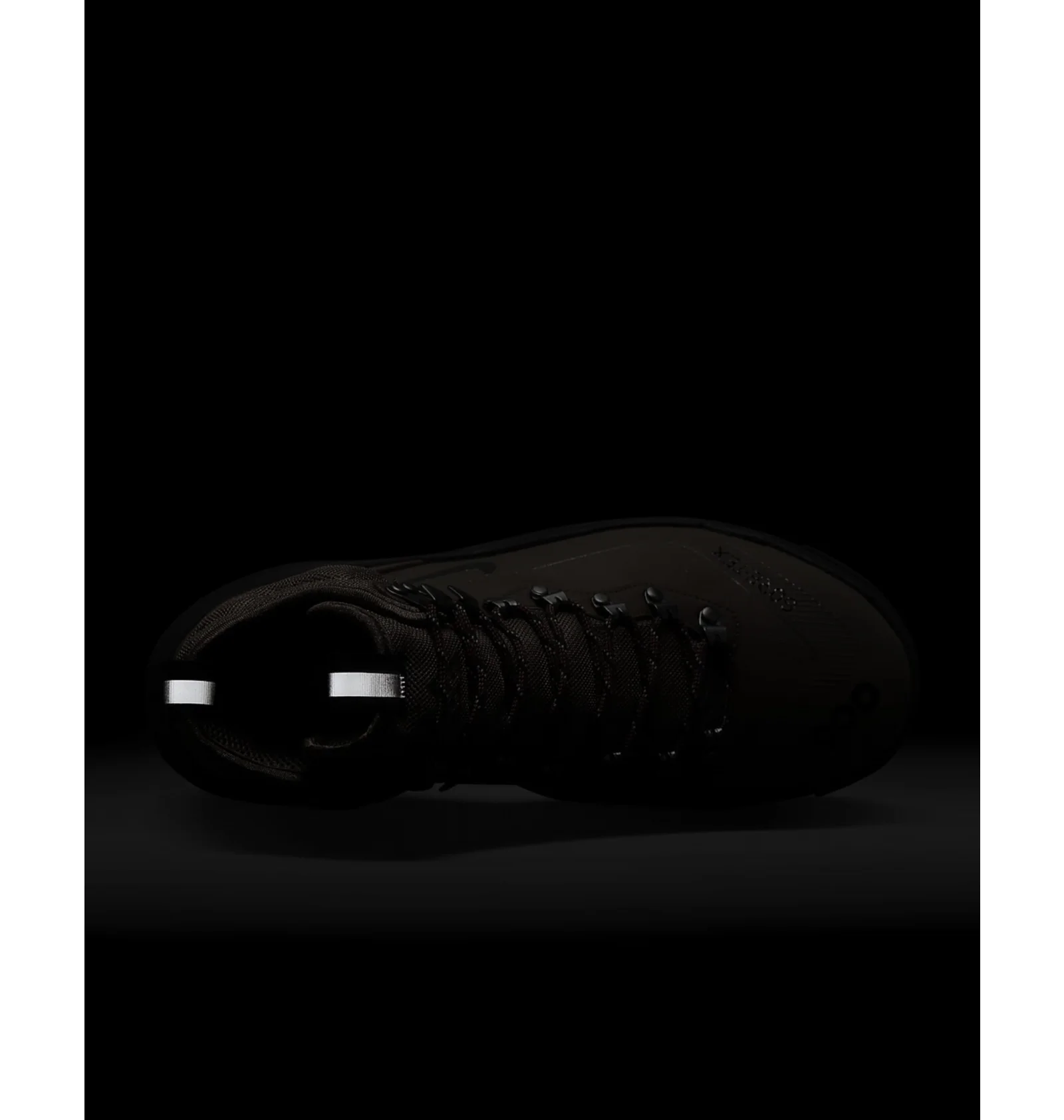 ᐉ Черевики унісекс Nike Acg Air Zoom Gaiadome Gore-Tex Trails End