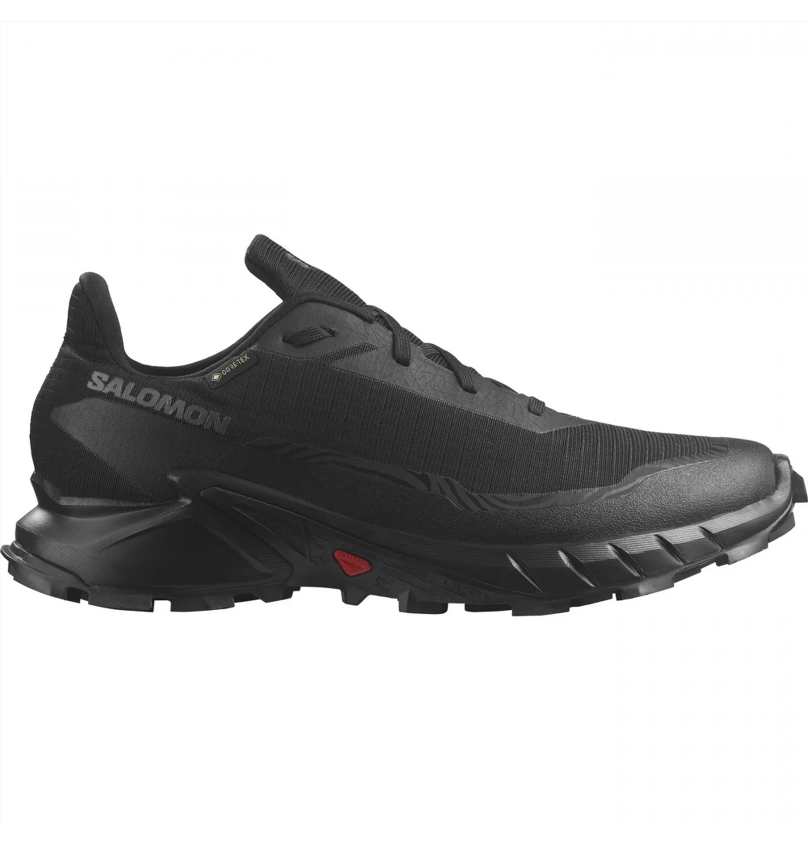 ᐉ Кросівки чоловічі Salomon Alphacross 5 Gtx Black L47307500