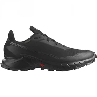 Кроссовки мужские Salomon Alphacross 5 Gtx Black L47307500