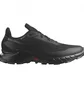 Кроссовки мужские Salomon Alphacross 5 Gtx Black L47307500