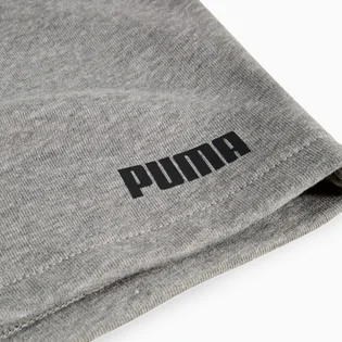 Шорти чоловічі Puma Essentials Small Logo Grey 690434-03
