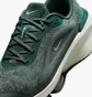 Кросівки жіночі Nike W Versair Grey/Green DZ3547-300