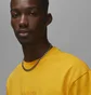 Футболка мужская Air Jordan Wordmark Tee Yellow FJ1969-739