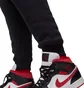 Штаны мужские Air Jordan M J Ess Flc Baseline Pant Black FD7345-010