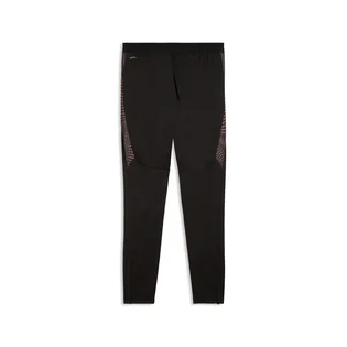 Штани чоловічі Puma Individualfinal Black 660431-01