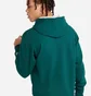 Худи мужское Champion Powerblend Fleece Green HBGF89H-CHA