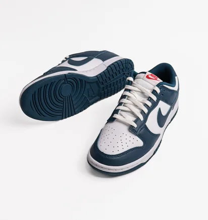 Кроссовки мужские Nike Dunk Low Retro Valerian Blue Dd1391-400