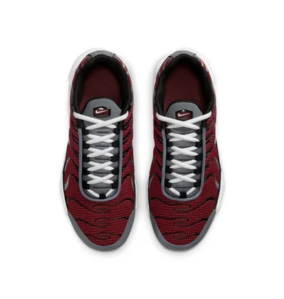 Кросівки дитячі Nike Air Max Plus Gs Bordo/Grey CD0609-602