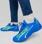 Сороконожки мужские Puma Ultra Play Tt Blue 107528-03