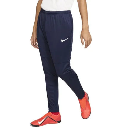 Штани чоловічі Nike Park 20 Knit Blue FJ3021-451