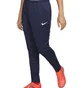 Штани чоловічі Nike Park 20 Knit Blue FJ3021-451