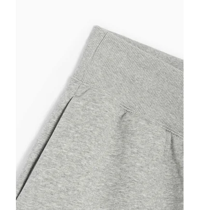 Шорты женские Nike Sportswear Phoenix Fleece High-Waisted Shorts Grey FD1409-063