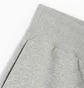 Шорты женские Nike Sportswear Phoenix Fleece High-Waisted Shorts Grey FD1409-063