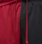 Шорти чоловічі Air Jordan M J Df Sprt Bc Mesh Gfx Short Red/Black Dm1815-687