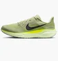 Кроссовки мужские Nike Air Zoom Pegasus 41 Green FD2722-303