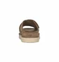 Тапочки жіночі UGG Goldenstar Brown 1137910-CHE