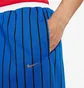 Шорты мужские Nike Lil Penny Premium Basketball Shorts Blue Da5993-480