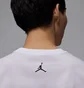 Футболка мужская Air Jordan Df Gfx Ss Crew White HQ8966-100