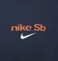 Футболка унісекс Nike Sb Skate T-Shirt Blue FJ1163-410