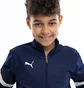 Спортивный костюм детский Puma Teamrise Blue/Black 658655-06