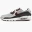 Кросівки чоловічі Nike Air Max 90 Grey Dq4071-004